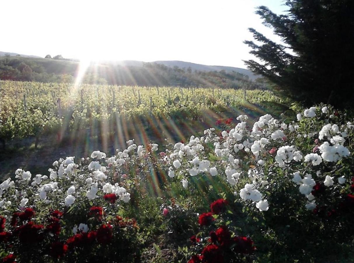 Agriturismo Fattoria Il Piano - Casa Tosca - San Gimignano Διαμέρισμα Εξωτερικό φωτογραφία