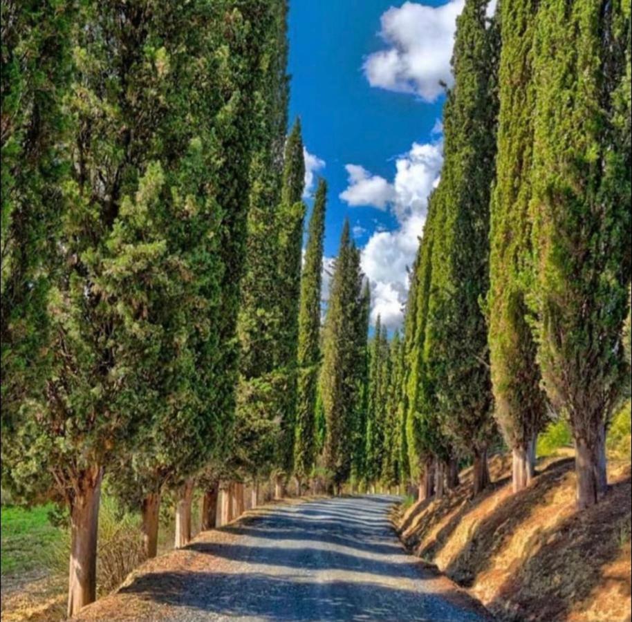 Agriturismo Fattoria Il Piano - Casa Tosca - San Gimignano Διαμέρισμα Εξωτερικό φωτογραφία