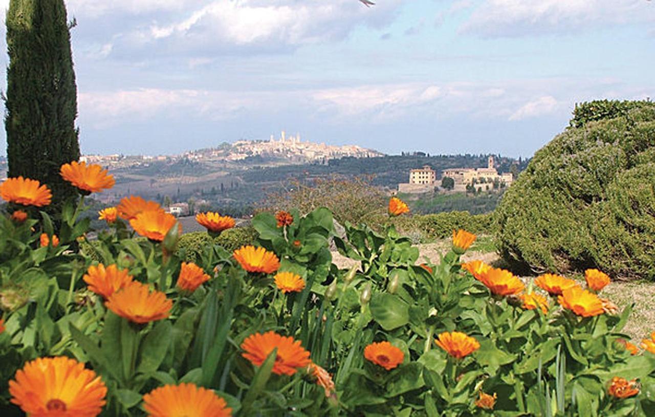 Agriturismo Fattoria Il Piano - Casa Tosca - San Gimignano Διαμέρισμα Εξωτερικό φωτογραφία